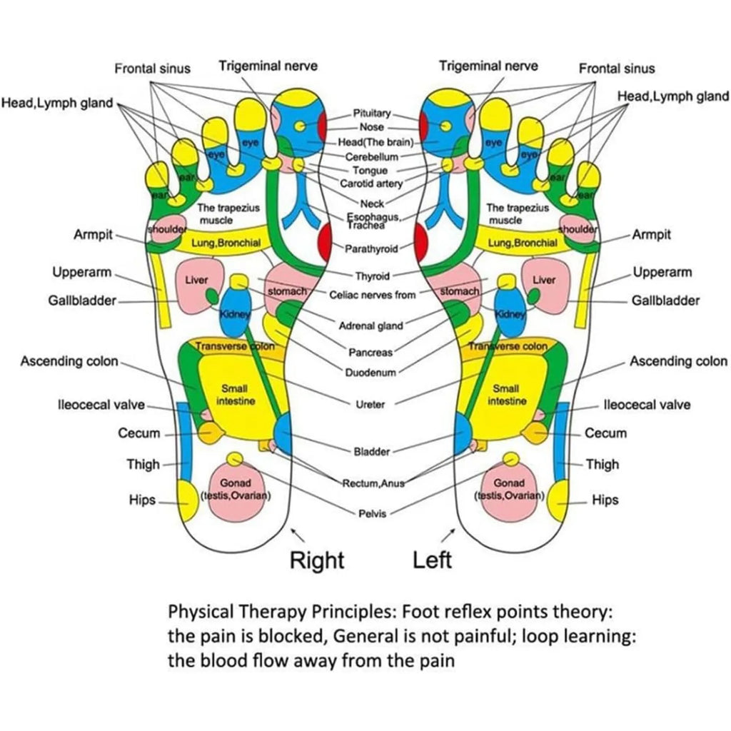 Almohadilla de acupresión Almohadilla de masaje de reflexología podal Cuidado de la salud Almohadilla de presión para pies para caminar Almohadilla de masaje de reflexología Masajeador de pies